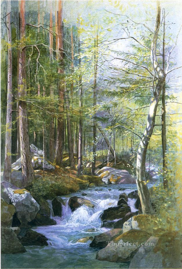 Torrent in Wood behind Mill Dam Vahrn near Brixen Tyrol scenery Luminism William Stanley Haseltine Oil Paintings